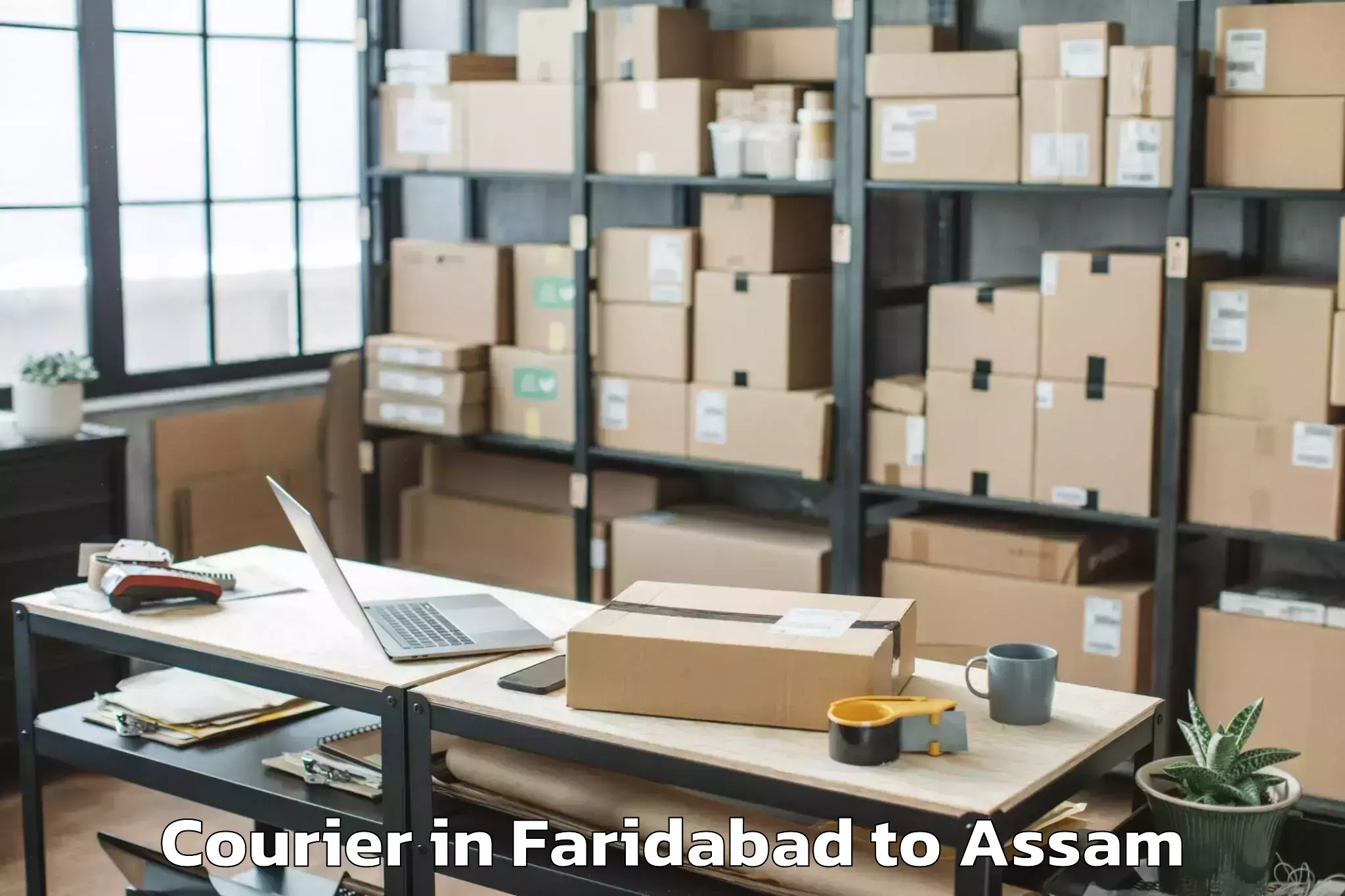 Top Faridabad to Silchar Airport Ixs Courier Available